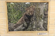 Открытие выставки клуба ветеранов-художников «Палитра наших сердец»
Фотограф(ы): А. Г. Шрайберова