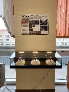 Торжественное мероприятие Ассоциации выпускников НГТУ НЭТИ
Фотограф(ы): Е. А. Андреева 