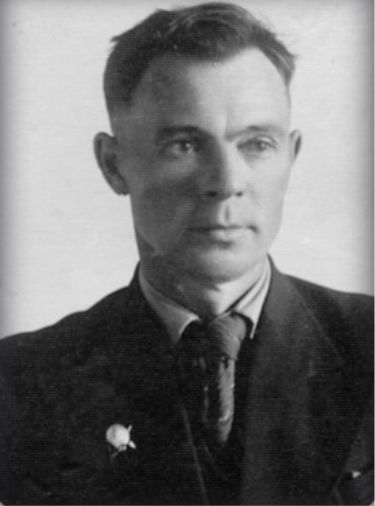 быков2.jpg